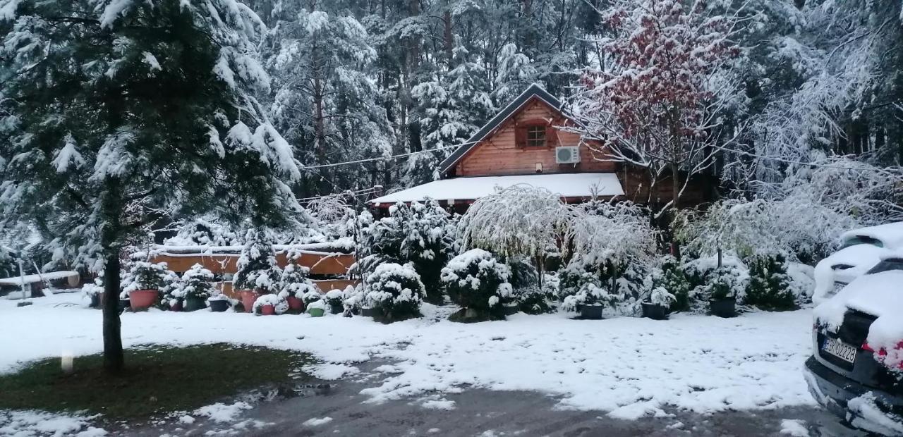 Domek W Ogrodzie Caloroczny 800M Od Parku Wodnego Suntago Ranczo Gold Mania Krzyzowka  Extérieur photo